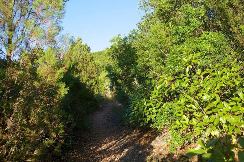 Biovilla Sustentabilidade Palmela Esterno foto